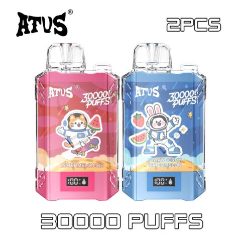 2 Pack Sleek Portable Mini vape 650mAh Battery ATVS ATUS 25ml Dual Flavors Vape Disposable Vape Dual Flavors Vape 30K puff vape vape Spain