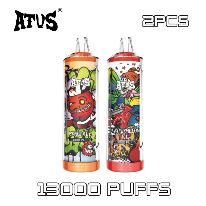 2 Pack Hot Sale Mini Vape 13000 Puff Disposable E Cigarette Pen Atvs Capacity USB Type C Fast Charging Device  vape Spain video disposable vape