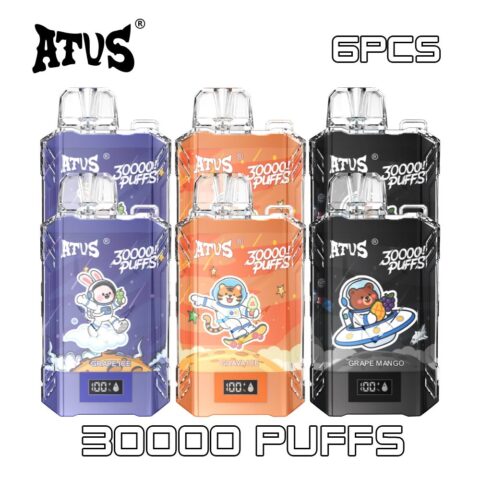 6 PACK ATVS DE017 30000 Puffs Disposable Vape