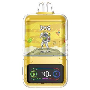 DE021 30000 Puffs