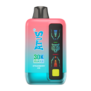 DE026 30000 Puffs